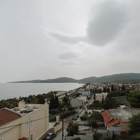 Niki House Apartman Vólosz Kültér fotó
