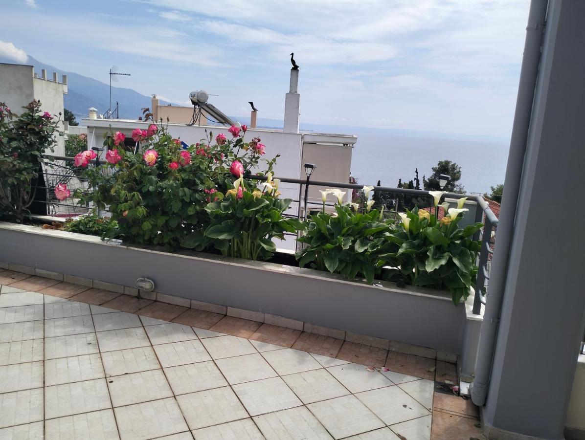 Niki House Apartman Vólosz Kültér fotó