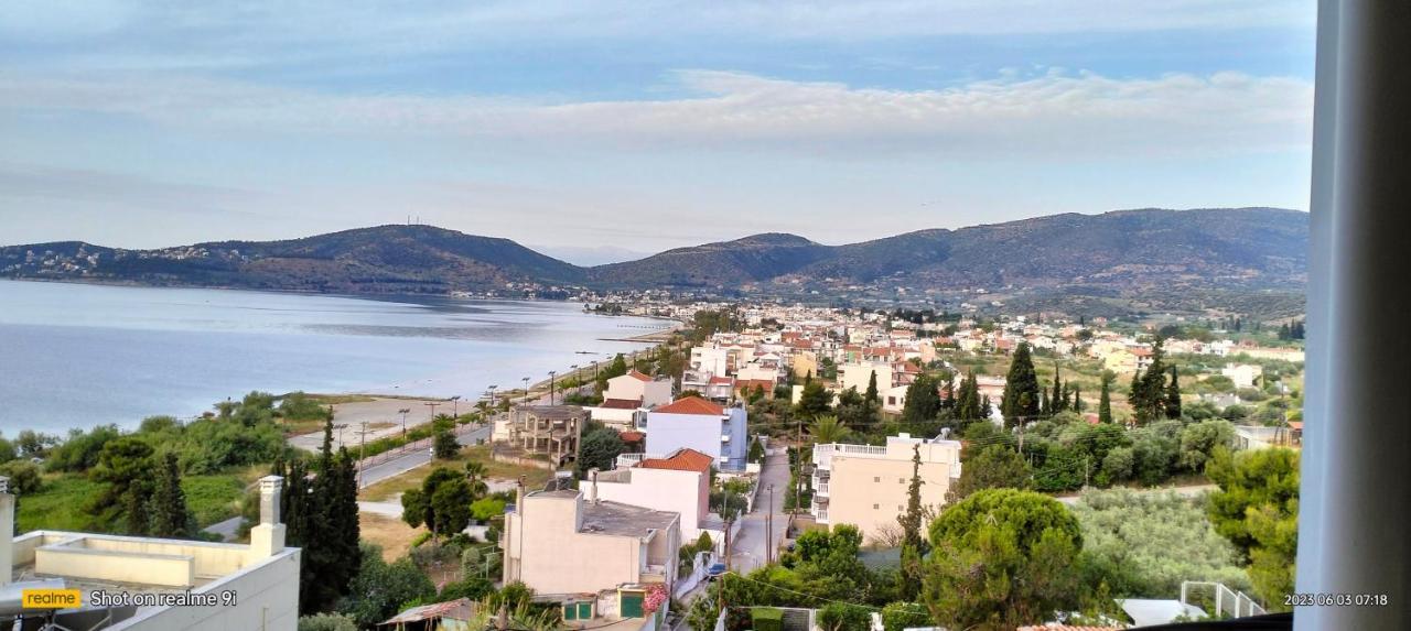 Niki House Apartman Vólosz Kültér fotó